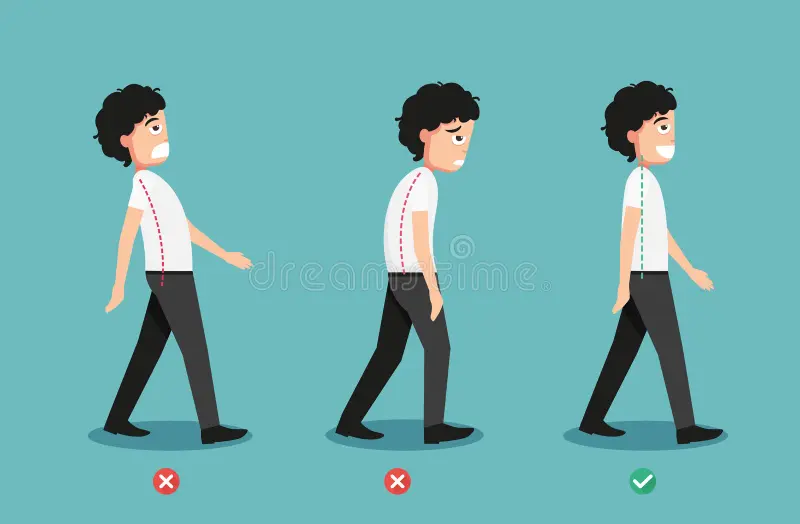 Posture Corrector